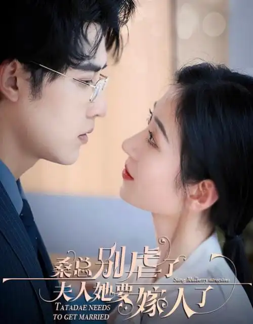 《双面审计师》职场剧集在线观看海报